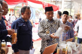Dorong Produktivitas Pertanian di Rembang, SIG Bentuk Klaster Jagung