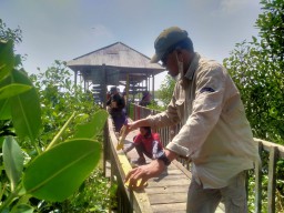 Turut Lestarikan Lingkungan, Karyawan PT Smelting Merawat Hutan Mangrove Pangkahkulon