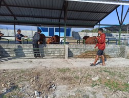 Pembangunan Rp8,5 Miliar, RPH-R Ponorogo Akhirnya Dimanfaatkan Setelah Mangkrak Bertahun-tahun