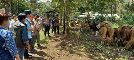 BNPT Apresiasi PT Smelting dan TSI Prigen Kembangkan Inseminasi Genetik Banteng Jawa untuk Pemulihan Kualitas Sapi Bali