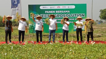 Petani di Gresik Hasilkan Benih Kangkung Berorientasi Ekspor dari Program Project Agrosolution Petrokimia