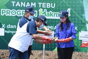 Melalui Program Makmur dan Agro Solution, Petrokimia Gresik Berhasil Meningkatkan Kesejahteraan 31 Ribu Petani