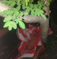 Warga Dander Bojonegoro Digegerkan Penemuan Bayi di Bawah Pohon Kelor