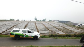 Bersama Pemerintah, Ini Strategi Petrokimia Gresik Hadapi Ancaman Krisis Pangan Dunia
