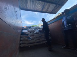 Alokasi Pupuk Bersubsidi di Bondowoso Jatim Bertambah, Pupuk Indonesia Siap Penuhi Kebutuhan