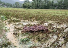 Terseret Arus, Banjir di Pacitan 'Menelan' Korban Jiwa