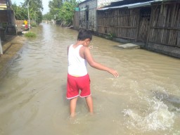 Banjir Musiman Mulai Melanda Gresik, Tiga Desa di Kecamatan Balongpanggang Terendam