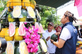 Nikmati Buah Segar di Panen Raya dan Festival Buah Latukan