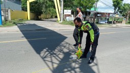 Meninggal Dunia, Seorang Mahasiswi Terlibat Kecelakaan dengan Mobil