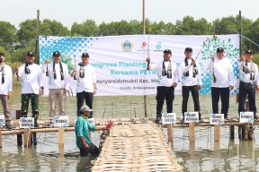 Lestarikan Lingkungan Hidup, Petronas dan SKK Migas Jabanusa Tanam 10 Ribu Bibit Mangrove di Pesisir Gresik