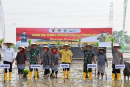 Tingkatkan Ketahanan Pangan, Kodam V Brawijaya Bersama Petrokimia Gresik Tanami Lahan Tidur