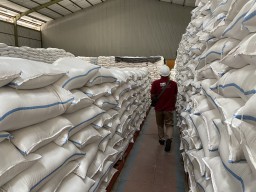 Beras Jatim Surplus 3,1 Juta Ton Tapi Langka dan Mahal, Khofifah Geram