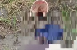 Ada Bungkusan di Area Persawahan Sidoarjo, Ternyata Isi Mayat Bayi Laki-laki