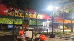 Dewan Beri Lampu Hijau Wahana Night Zoo di KBS