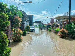 Lahan Pertanian 139 Hektare di Balongpanggang Gresik Terendam Banjir