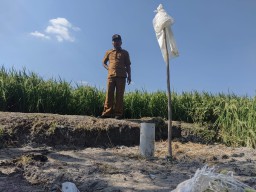 Semburan Air Setinggi 10 Meter di Bojonegoro Sudah Berhenti, Bau Belerang Tercium