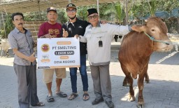 Enam Ekor Sapi dan Kambing Disalurkan Smelting ke Masyarakat Untuk Idul Adha