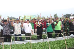 Pemkab Bojonegoro Salurkan Bibit Tembakau Kepada Petani, Berharap Bisa Panen Melimpah