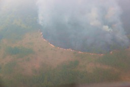 Karhutla Gunung Arjuno Mencapai 1.200 ha