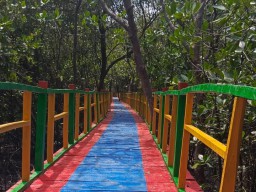 Jogging Track Mangrove Pangkahkulon yang Dibangun PT Smelting Kini Sudah Nyambung