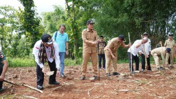 Wamentan Dorong Peningkatan Produksi Jagung di Lamongan