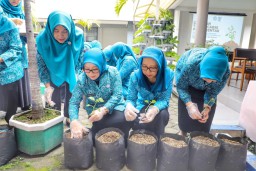 Pj. Ketua TP PKK Isye Ajak Kader PKK Tanam Cabai di Pekarangan Rumah