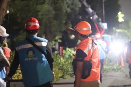 Rabas Malam Hari, Salah Satu Upaya PLN UP3 Surabaya Utara Tingkatkan Keandalan Listrik