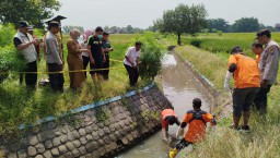 Dikira Boneka, Pemulung di Jombang Temukan Jasad Bayi Perempuan Mengapug