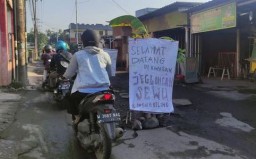 Geram Jalan Rusak, Warga Sidoarjo Tanam 40 Pohon Pisang di Tengah Jalan