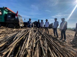 Pabrik Gula SGN, Sudah Siap Memulai Giling 2024