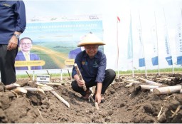 PTPN I Regional 4 Terus Kawal Bisnis Berwawasan Lingkungan dan Berkelanjuta