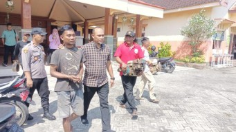 Pencuri Diesel di Lamongan Ditangkap Warga Usai Dijebak