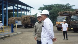Mulai Giling, SGN PG Glenmore Siap Penuhi Kebutuhan Gula Konsumsi