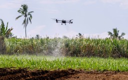 Kolaborasi Program Makmur antara Petrokimia dan SGN Berhasil Tingkatkan Kesejahteraan Petani Tebu Bondowoso