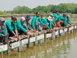 Cargill Resmikan Arboretum Mangrove dan Tanam 16.000 Bibit Mangrove di Kalimireng Gresik