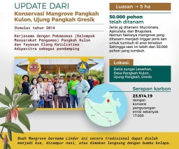 Mangrove yang Ditanam PT Smelting di Ujungpangkah Gresik Mampu Serap Karbon Cukup Besar