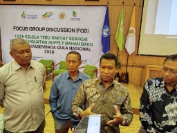 SGN: Upaya Swasembada Gula Harus Tingkatkan Kesejahteraan Petani Tebu