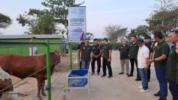 SIPANDU DESI Upaya PLN Nusantara Power atasi Permasalahan di Sektor Pertanian dan Peternakan