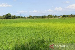 Mewujudkan Keamanan Pangan dengan Menggandeng Aparat Hukum