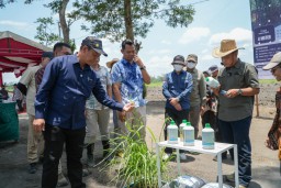 Dirjenbun Kementan RI Kunjungi Pabrik Gula SGN, Dukung Penguatan Tebu Rakyat Menuju Swasembada Gula Nasional