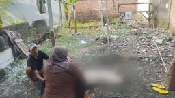 Kekerasan Dalam Rumah Tangga di Gresik Kembali Makan Korban, Istri Diduga Ditusuk Suami Hingga Meninggal Dunia