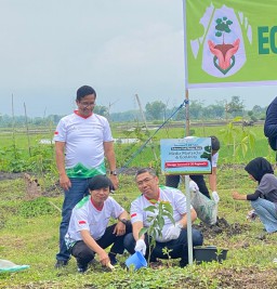 PT Pertamina EP Zona 11 Regional Indonesia Timur dan Awak Media Tanam Pohon Wujudkan Net Zero Emissions