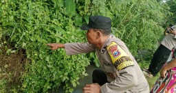 Bayi Dibuang di Semak Berduri, Ibu Jalani Proses Hukum, dan Penanganan Dilanjutkan Dinsos