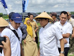 Penyaluran Pupuk Subsidi 2025 Dimulai Awal Tahun: Dorong Produktivitas Saat Musim Tanam