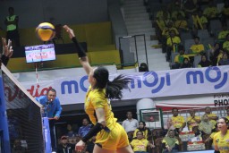 PLN Mobile Proliga 2025: Gresik Petrokimia Tumbang di Kandang Setelah Pertarungan Lima Set Melawan Jakarta Livin Mandiri