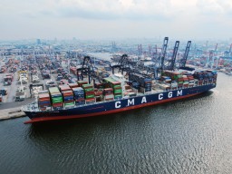 Pelindo Terminal Petikemas Catat Arus Container Tahun 2024 Tembus 12,48 Juta TEUs