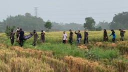 Ditemukan Meninggal di Sawah, Pria Lansia di Jember Diduga Tersesat