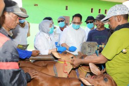 Tetapkan Status Darurat PMK, Pj. Gubernur Jatim Imbau Penanganan Dilakukan Cepat dan Holistik