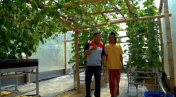 PHE WMO Raih PROPER Emas 2024 Berkat Inovasi Pertanian Berkelanjutan