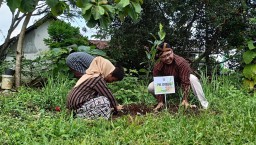 PWI Jombang Tanam Pohon Bersama, Lestarikan Budaya dan Lingkungan di Desa Pakel